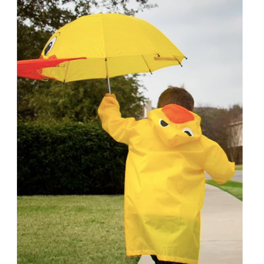 Duck Umbrella