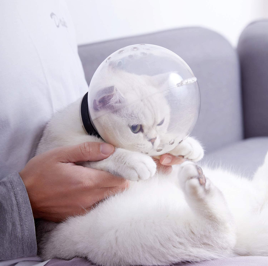 Adjustable Anti-Bite Cat Helmet