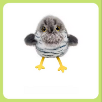 Cuckoo