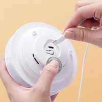 Electronic Flashing Feather Toy for Cats