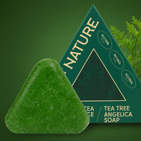 Herbal Triangular Shampoo Bar