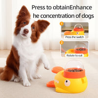 Interactive Feeder for Dogs and Cats