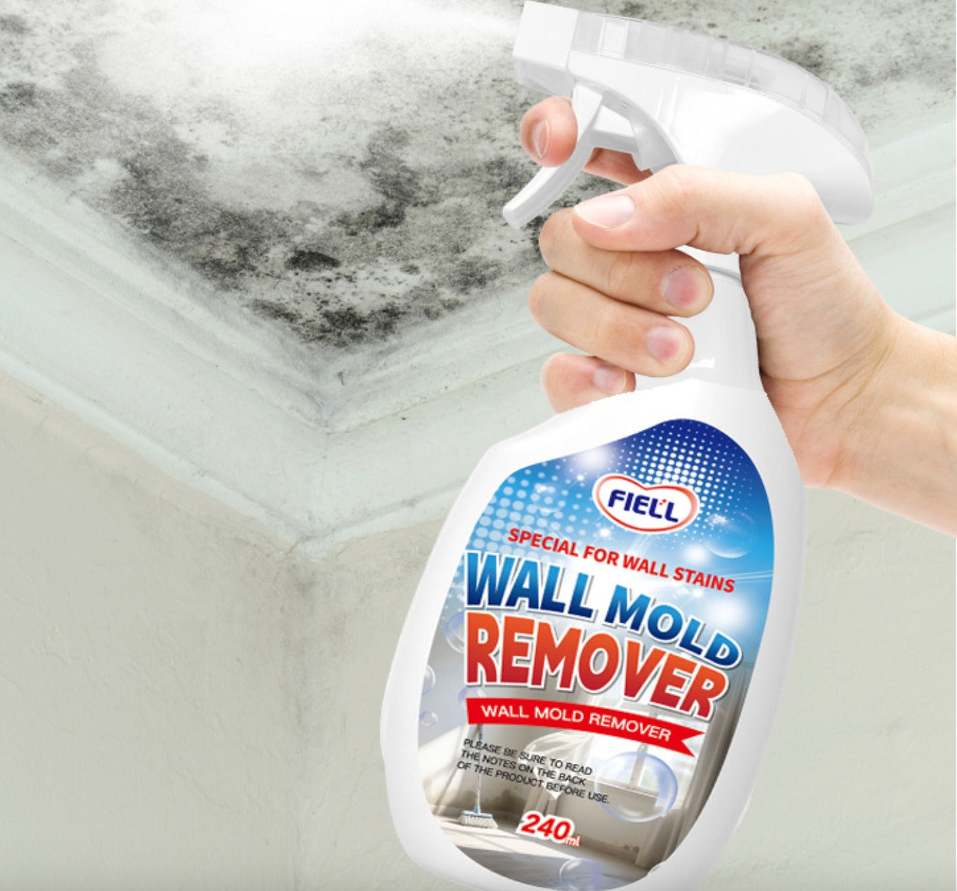 Wall Mold Remover Spray