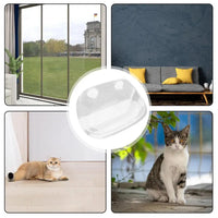 Window Perch For Cat