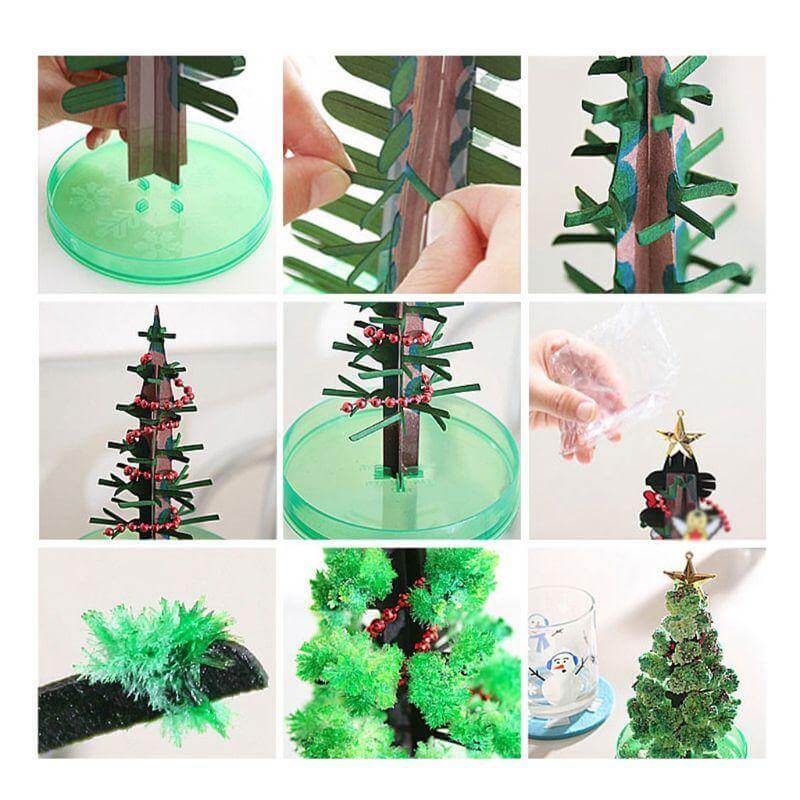 Magic Growing Christmas Tree