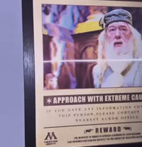 Wiz Art Harry Potter 3D Poster