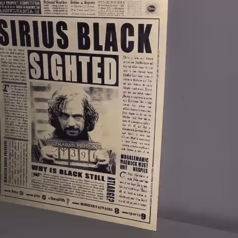 Wiz Art Harry Potter 3D Poster