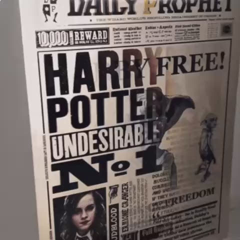 Wiz Art Harry Potter 3D Poster